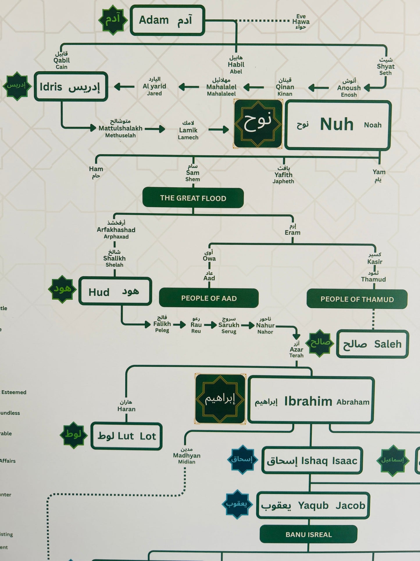 Prophet (PBUH) Family Tree (No Frame)