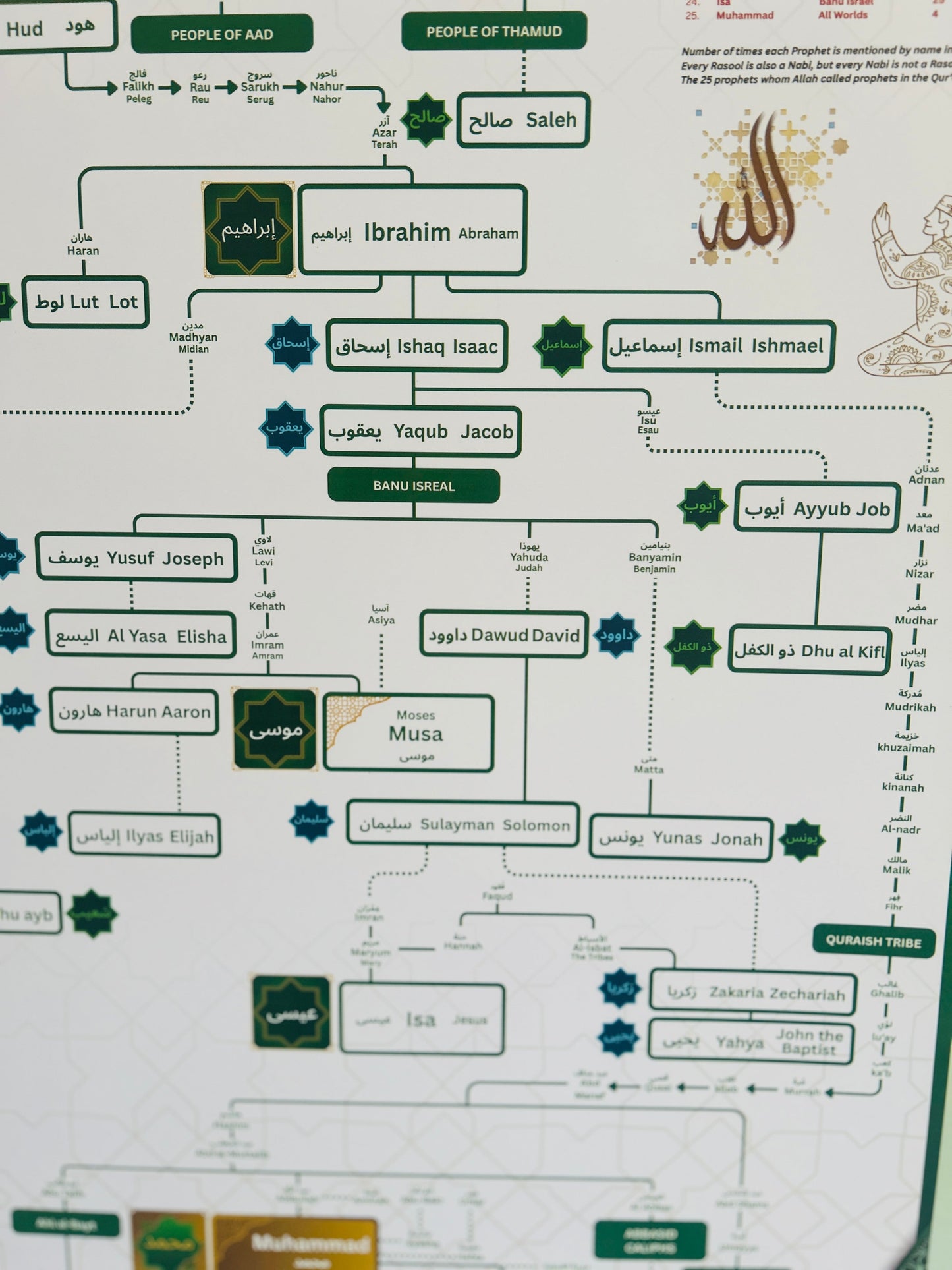 Prophet (PBUH) Family Tree (No Frame)