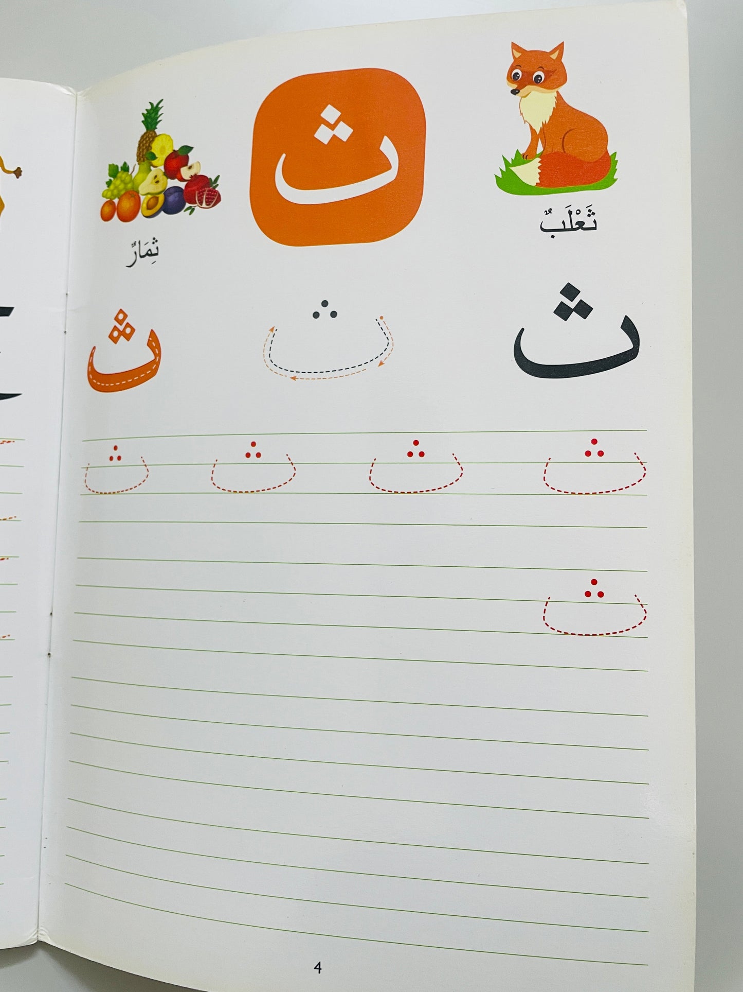 Wipe and Clean Arabic Alphabet