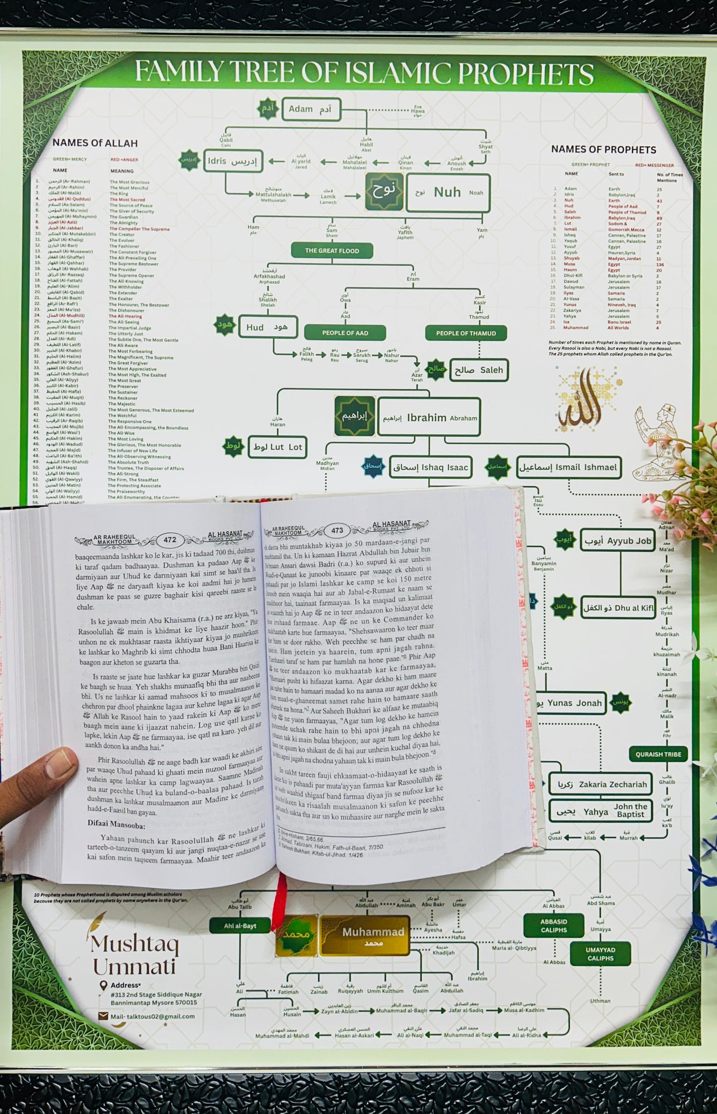 Family Tree + Seerah Combo